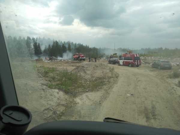 В Мурино на территории промзоны загорелась несанкционированная свалка 1