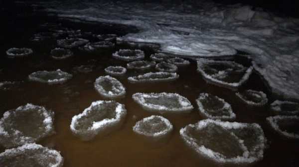 На Ладожском озере заметили ледяные диски 2