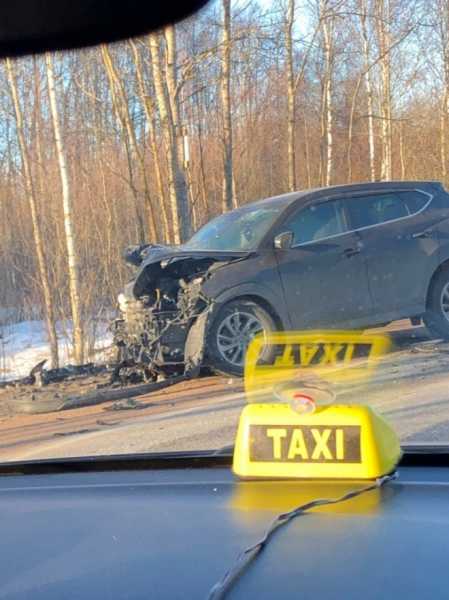 На трассе Петродворец-Кейкино произошло смертельное ДТП1