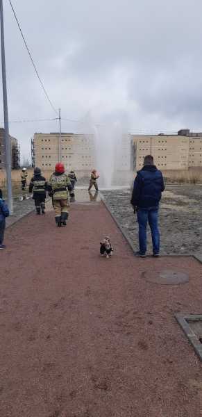На улице Маршала Казакова забил фонтан с холодной водой1
