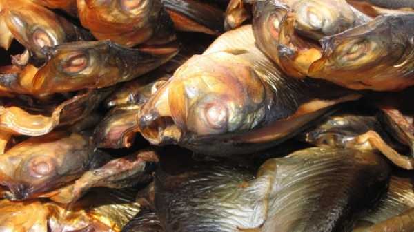 Петербургскую компанию оштрафовали на полмиллиона рублей за неправильную утилизацию рыбы