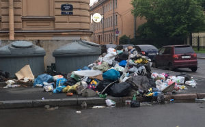 Петербуржцы жалуются на кучу мусора в Тучковом переулке2