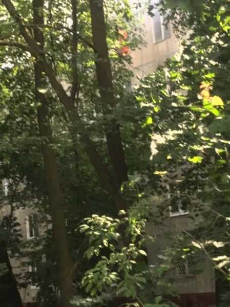 В Невском районе горела квартира в жилом доме 2