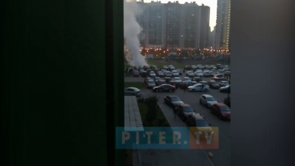 Видео: в Мурино загорелись автомобили0
