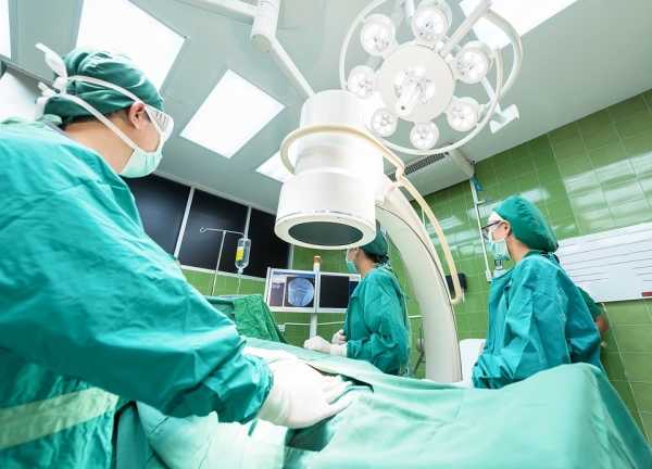 В России могут облегчить систему трансплантологии 0