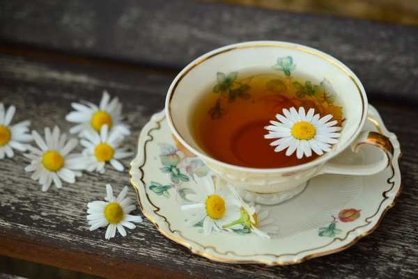 Китайские ученые выяснили, что любители чая живут дольше0