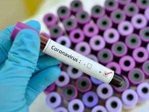 Пик распространения коронавируса будет в середине февраля