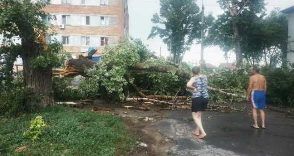  В Балаково под Саратовом прошел мощный ураган3
