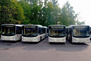За петербуржцами, застрявшими в московских обсерваторах, направят бесплатный автобус