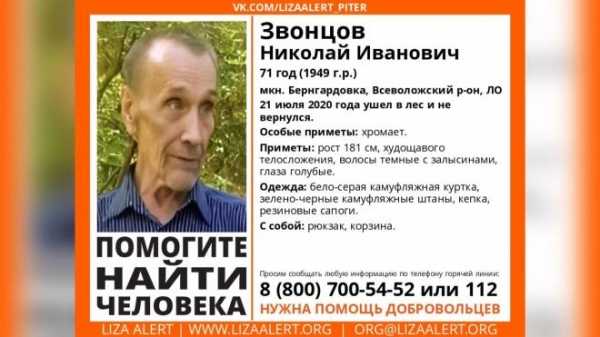 В Петербурге разыскивают пожилого грибника