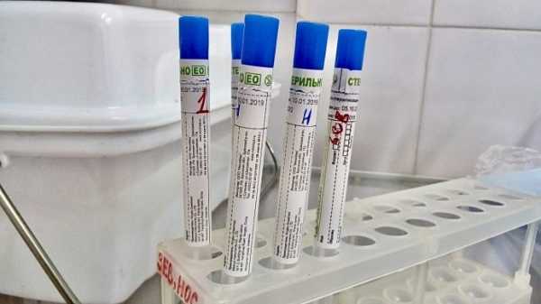В Петербурге за сутки сдали более 21 тысячи тестов на коронавирус0