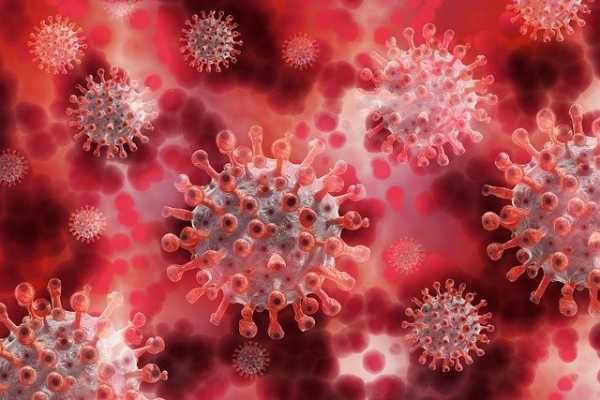 Врач опроверг самые популярные мифы о коронавирусе0