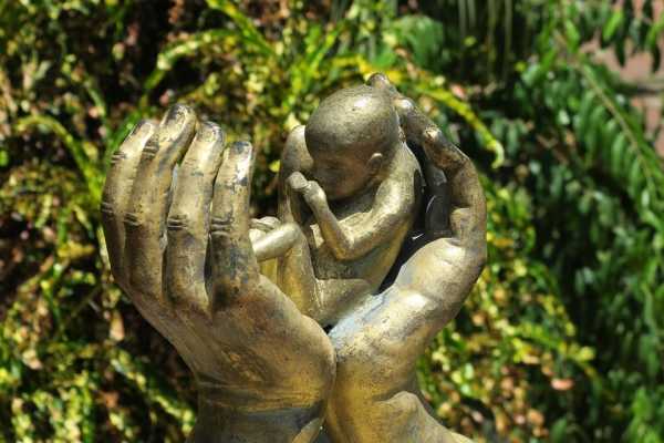 РПЦ поддержала инициативу детского омбудсмена о сокращении абортов0