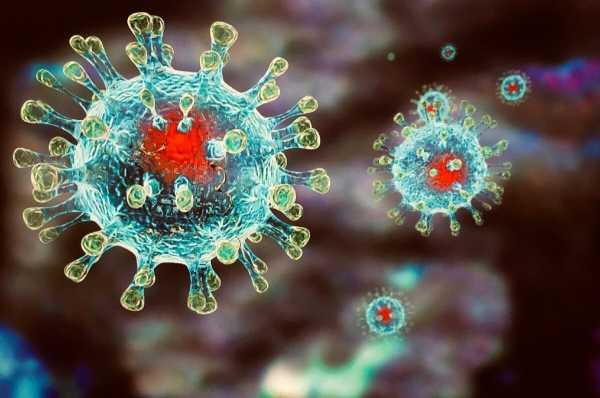 В Китае от коронавируса погибло 2 715 человек0