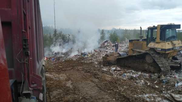 В Мурино на территории промзоны загорелась несанкционированная свалка 