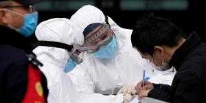 Двое россиян находятся на круизном судне в Японии, где выявлен коронавирус