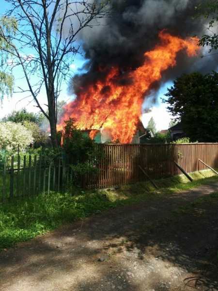 В Киришском районе сгорела дача: фото2