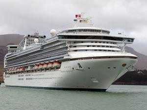 Еще у 41 пассажира круизного судна в Японии нашли коронавирус