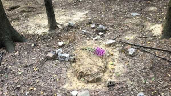 Неизвестные разгромили кладбище домашних животных в Новом Девяткино