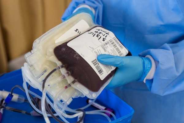 Петербуржцы сдали почти 100 литров крови в рамках акции  «Фонда Доноров»0