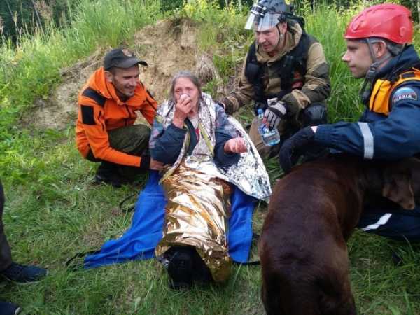 Петербургские добровольцы спасли 79-летнюю пенсионерку, которая потерялась в лесу0