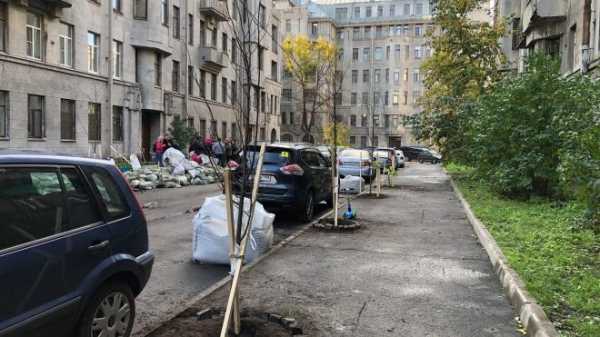 Петербуржцы высадили липы на улице Некрасова