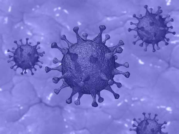 Ученые выяснили, как коронавирус проникает в организм0