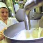 Четверть молочных продуктов в России не отвечает стандартам качества