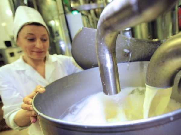 Четверть молочных продуктов в России не отвечает стандартам качества