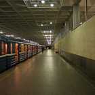 Станция метро Девяткино закрыта из-за бесхозного предмета