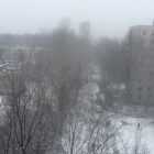 Жители Петербурга обсуждают утренний снег в соцсетях