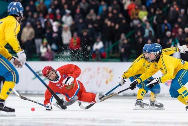 На территории комплекса в Красном Селе также будут развивать и другие виды спорта.. Фото: http://www.rusbandy.ru