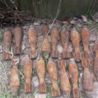 Возле заправки в Курортном районе нашли 16 боевых мин