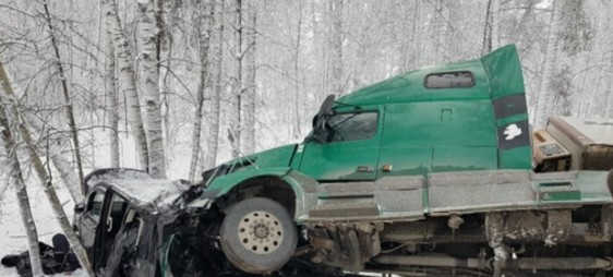 Появилось видео с места смертельной аварии грузовика и микроавтобуса под Томском0