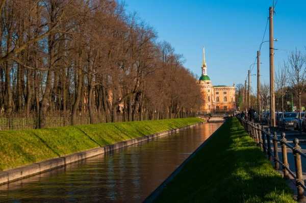 В 2018 году Петербург лишился почти 5000 тыс. деревьев.
Фото: Pixabay