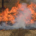 При тушении лесного пожара в китайской провинции Сычуань погибли 30 пожарных (ВИДЕО)