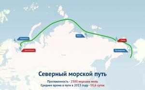 Контейнерная линия на Северном морском пути свяжет Ленобласть и Камчатку4