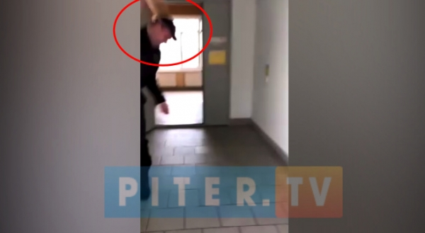 Видео: в Петербурге охранник института ударил об пол беременную кошку 1