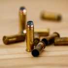 В Ленобласти «черные копатели» показали полиции склад боеприпасов