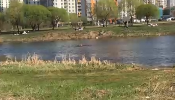Мужчина устроил одиночный заплыв. Фото: https://vk.com/kupchinonews