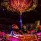 Петербуржцы смогут побывать на шоу Cirque du Soleil по мотивам Аватара с 8 по 12 мая