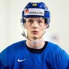 Эллиас Петтерссон назвал имена великих российских хоккеистов