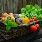 Ученые раскритиковали вегетарианство из-за опасности для здоровья