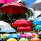 Девушка с розовым зонтом ограбила мужчину на Площади Восстания