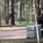 Видео: в Удельном парке пенсионер пытался забить голубей камнями
