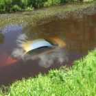 В Ломоносовском районе каршеринговая авто приводнилась в пруд. Еще одна «утопленница» в Тихвине