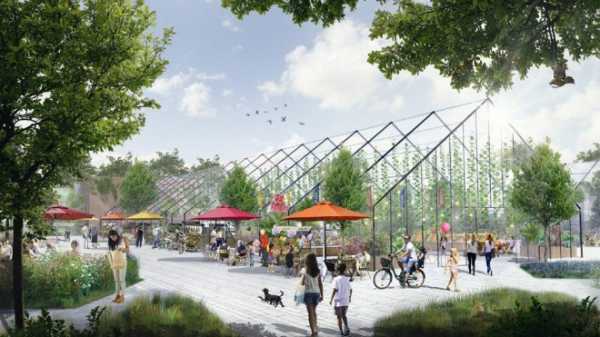 В Таврическом саду к 2025 году появится новое общественное пространство 