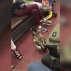 Видео: на станции Площадь Восстания женщина с уткой на поводке собирает милостыню
