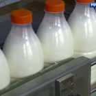 В магазинах России вводятся новые правила продажи молочных продуктов