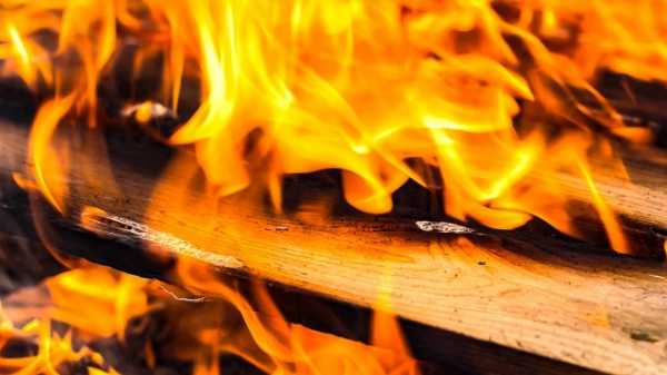 В петергофском садоводстве сгорел 63-летний житель Приморского района